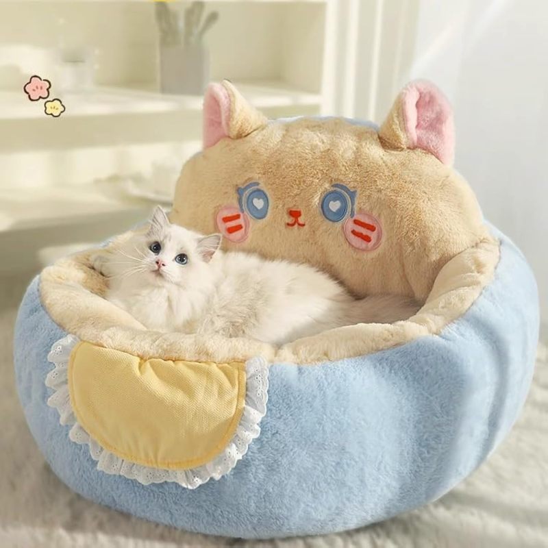 Purr & Paw Comfort